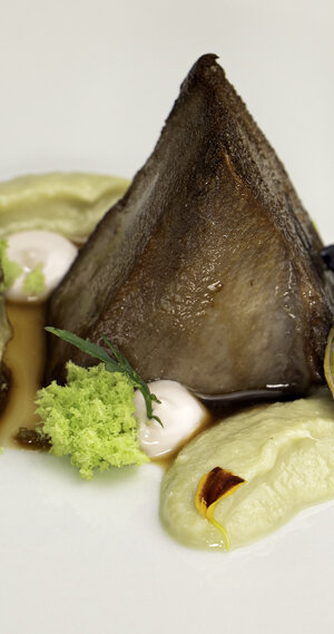 eyJpdCI6IiJ9 eyJpdCI6IiJ9