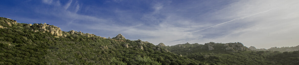 54c059d7-a60e-4dda-9e78-bd9facebd676 54c059d7-a60e-4dda-9e78-bd9facebd676