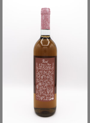 eyJpdCI6IiJ9 eyJpdCI6IiJ9