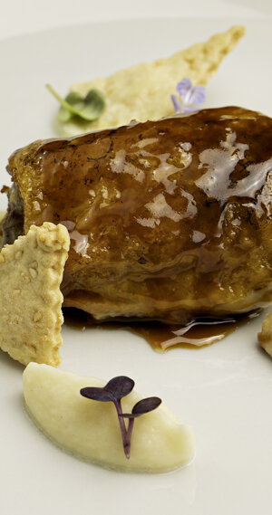 eyJpdCI6IiJ9 eyJpdCI6IiJ9