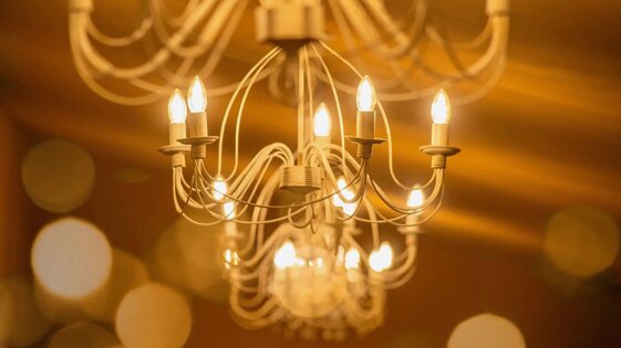 41297df5-787f-487f-a8bb-2e0548cb17c7 41297df5-787f-487f-a8bb-2e0548cb17c7