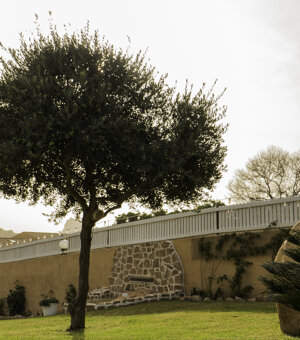 eyJpdCI6IiJ9 eyJpdCI6IiJ9