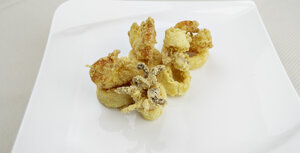 eyJpdCI6IiJ9 eyJpdCI6IiJ9