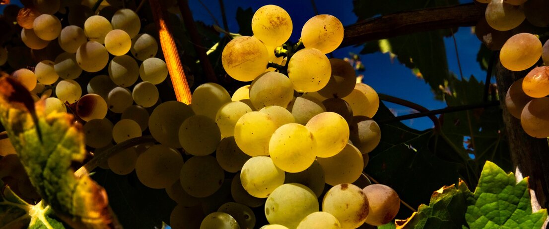 a6545d63-02bf-4785-92b5-f08c78acb9d0 a6545d63-02bf-4785-92b5-f08c78acb9d0