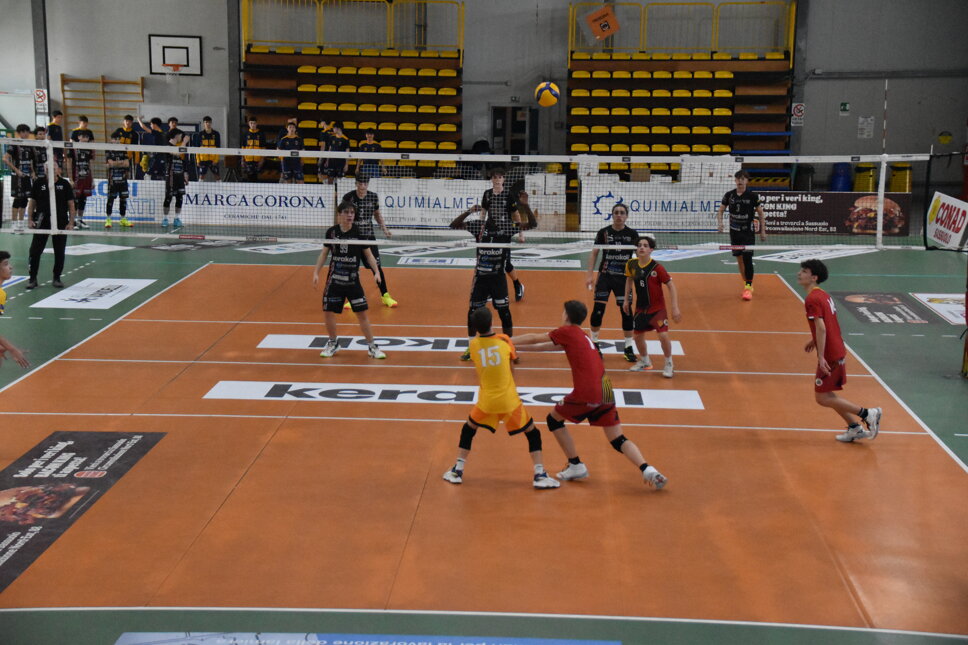 dsc_0244.jpeg dsc_0244.jpeg