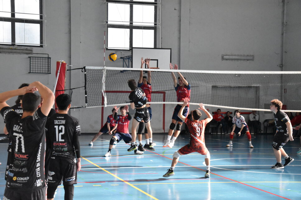 dsc_0185.jpeg dsc_0185.jpeg