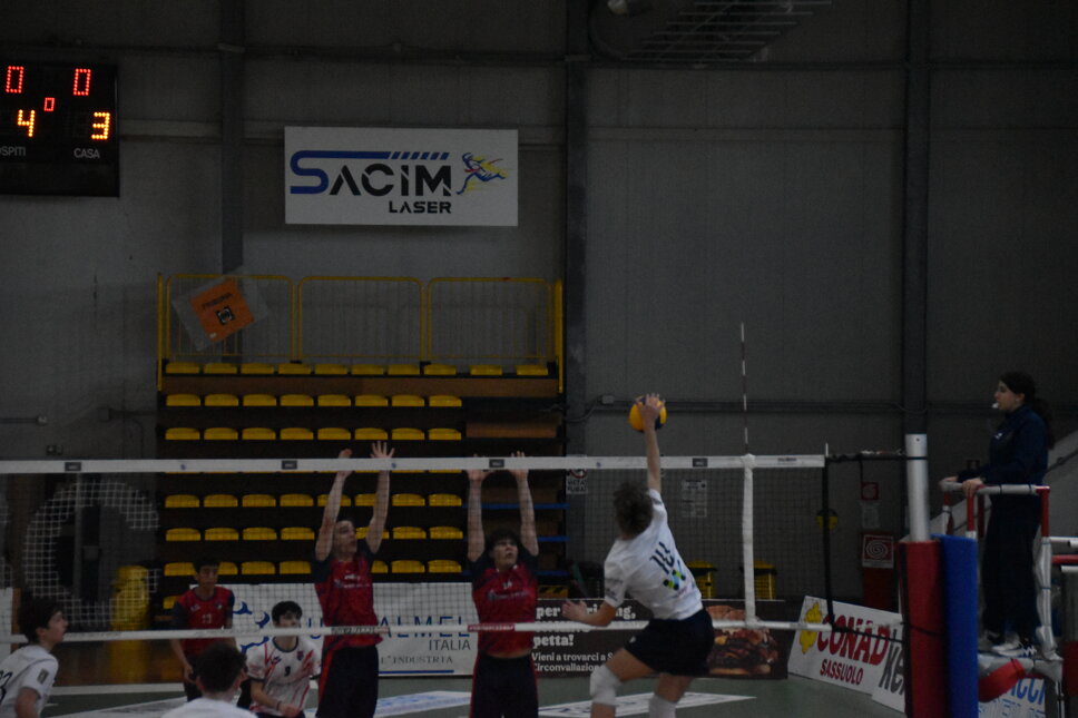 dsc_0227.jpeg dsc_0227.jpeg