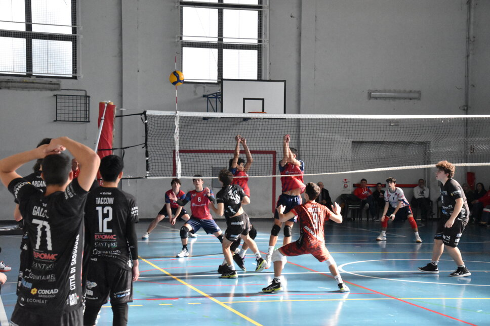 dsc_0186.jpeg dsc_0186.jpeg