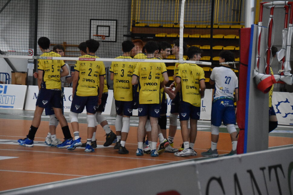 dsc_0204.jpeg dsc_0204.jpeg