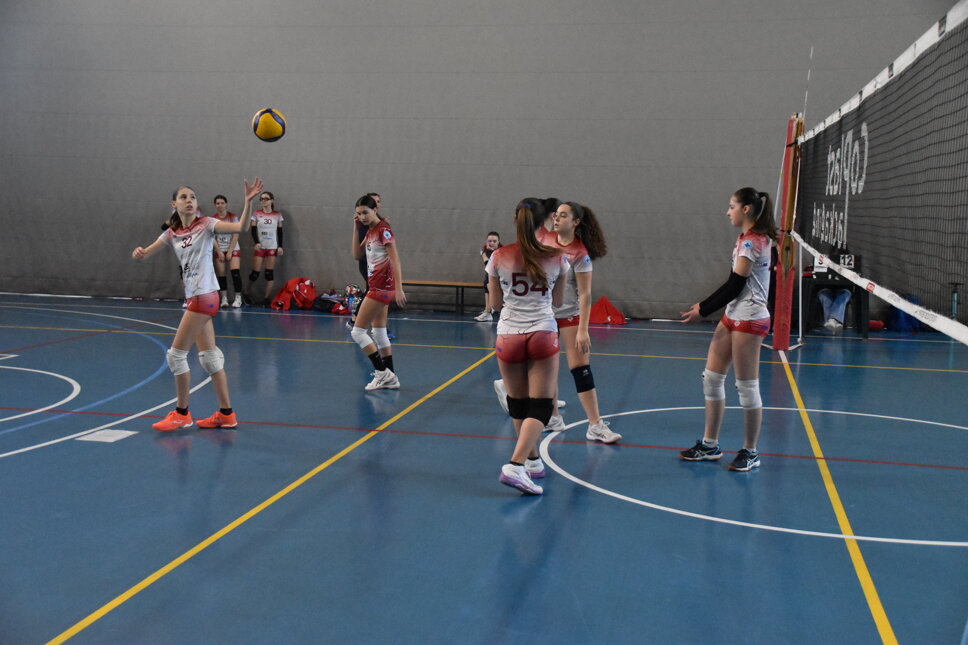 dsc_0118.jpeg dsc_0118.jpeg