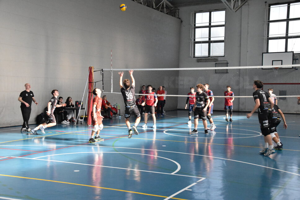 dsc_0194.jpeg dsc_0194.jpeg