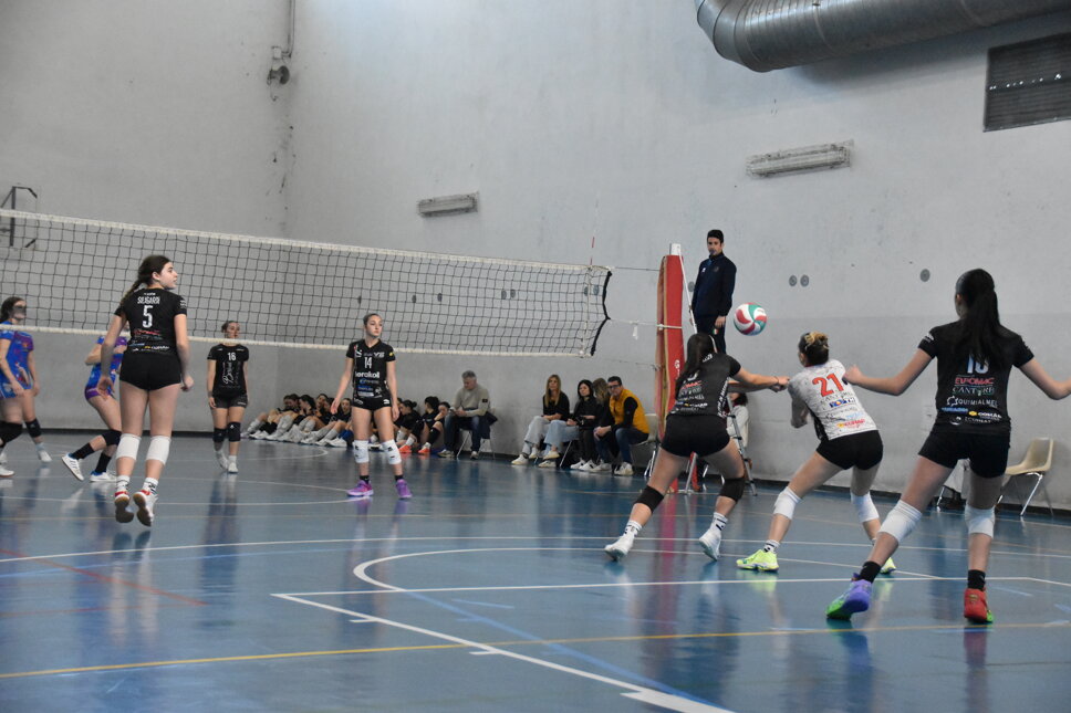 dsc_0168.jpeg dsc_0168.jpeg