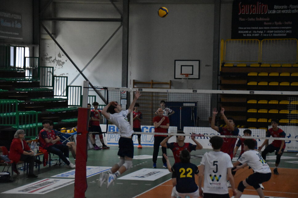 dsc_0221.jpeg dsc_0221.jpeg