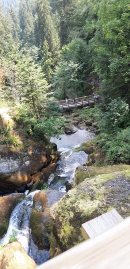 img-20260726-wa0017.jpeg