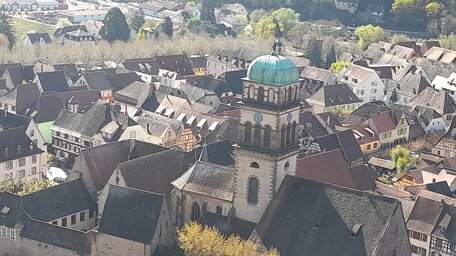 20260406_102814.jpeg