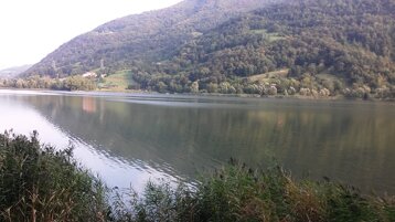 186c3be1-5114-4a49-9e77-7b0f0a779587 186c3be1-5114-4a49-9e77-7b0f0a779587