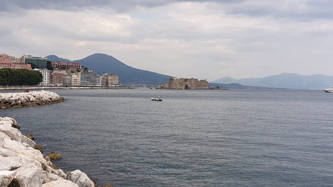 89b5f901-e12f-4e0d-92a9-7a19682407da 89b5f901-e12f-4e0d-92a9-7a19682407da