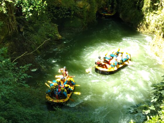 a800d202-e776-4347-91bf-1696512f908e.jpeg a800d202-e776-4347-91bf-1696512f908e.jpeg