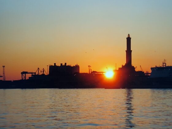 0dc1c2e8-2930-478f-857d-e2a50571b61e 0dc1c2e8-2930-478f-857d-e2a50571b61e