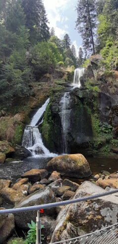 img-20260726-wa0028.jpeg