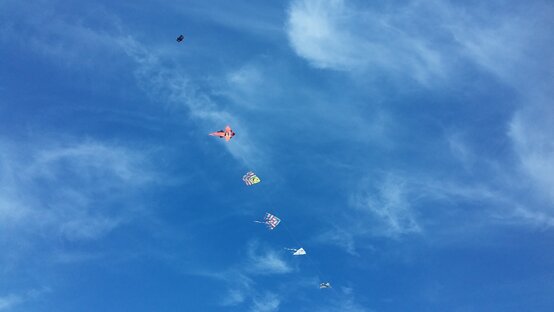 726aa287-3dfb-4b8e-ab61-2f0cf0638c10