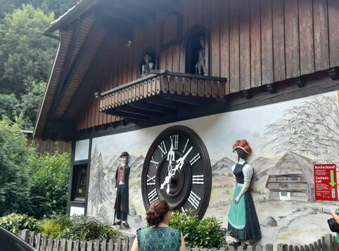 20260726_1204041.jpeg