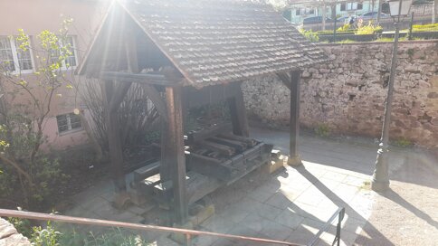 20260405_161356.jpeg