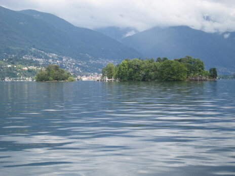 img_3883.jpeg