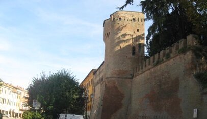 img_46317.jpeg img_46317.jpeg