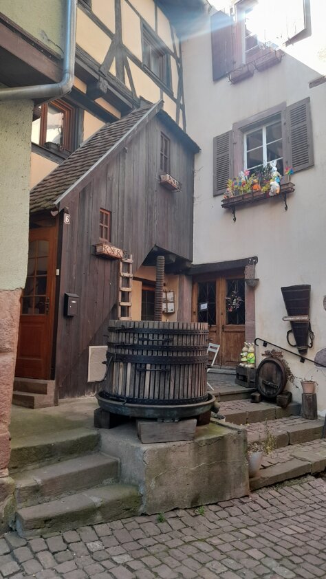 20260405_155113.jpeg