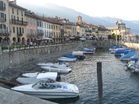 img_3725.jpeg img_3725.jpeg