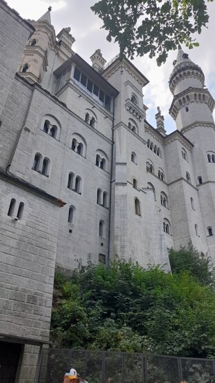20260816_123941.jpeg 20260816_123941.jpeg