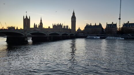 20251130_154658.jpeg 20251130_154658.jpeg