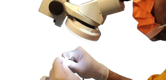 1b7e19dc-7c50-4010-a424-ebd10756d9f3