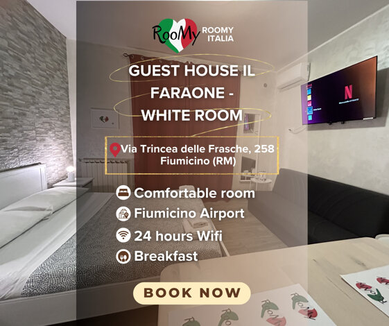 white room book.jpeg