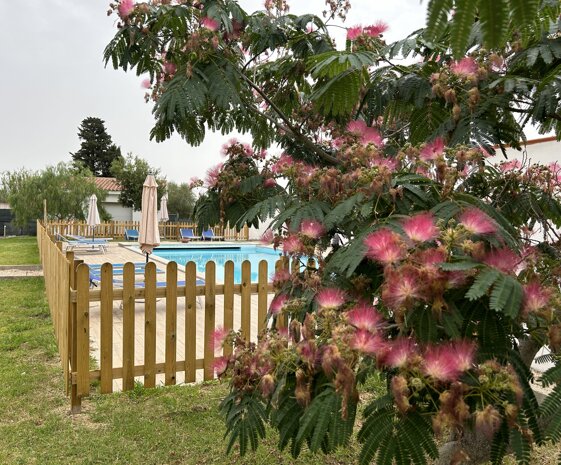 cd981f40-4c81-443e-a161-2eae3a51f3af