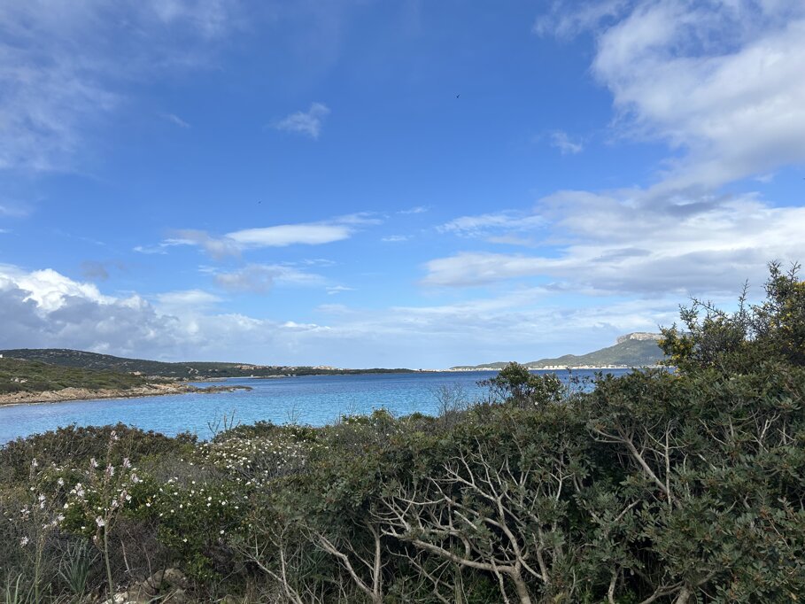 780c145e-cc7a-4e32-8af5-b71dd0aa792d