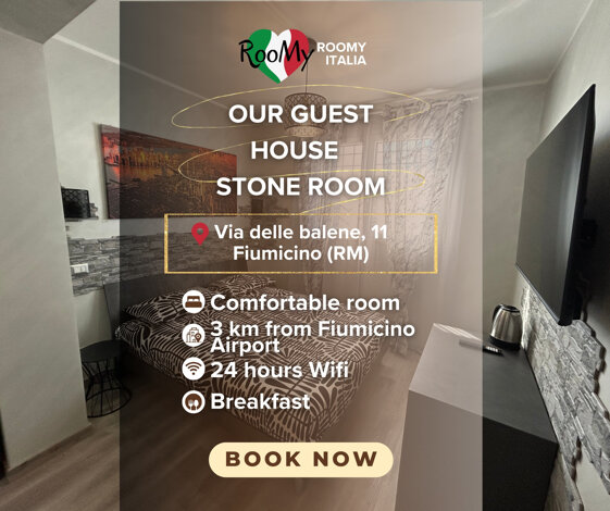 stone room book.jpeg