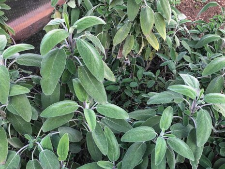 df95c871-edaa-4ddb-b29d-2d5c32070b1c df95c871-edaa-4ddb-b29d-2d5c32070b1c