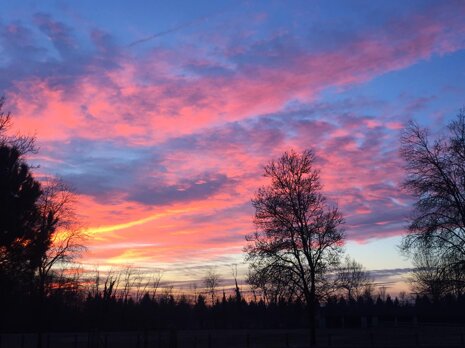 e92cd3d4-6aed-4a0a-8f1c-e202fd0261a7 e92cd3d4-6aed-4a0a-8f1c-e202fd0261a7