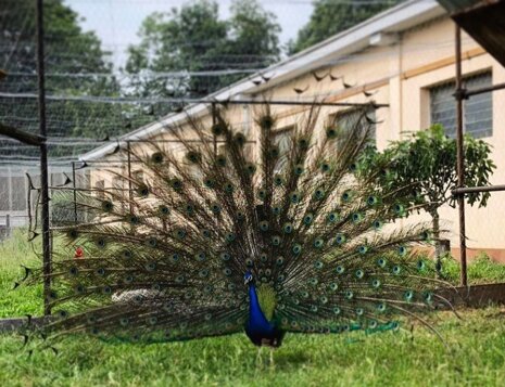 450626ea-a173-49ca-a6a8-75ce084fe554 450626ea-a173-49ca-a6a8-75ce084fe554