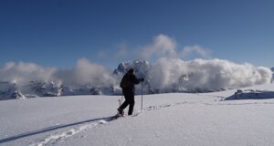schermata%202026-10-09%20alle%2012.20.39