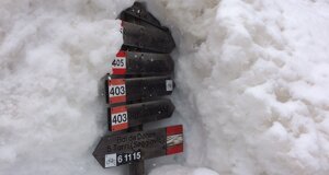 img_5787.jpeg
