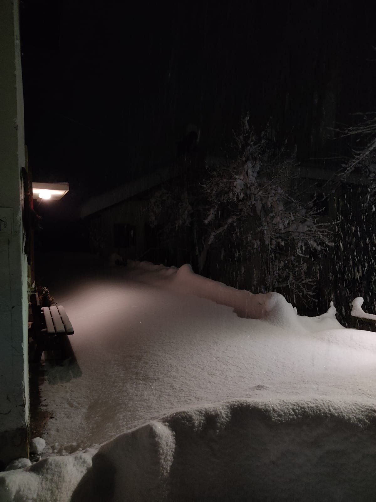 Neve, Neve, Neve ... Neve, Neve, Neve ...