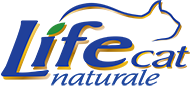6e6eae2a-ff31-4bca-8bc5-c318c6ffac11