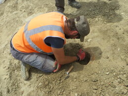 1b76038a-cadd-436c-89da-f99f23be6459