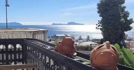 Libellula Regina Giovanna