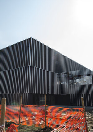 008%20palestra%20arcoveggio.jpeg 008%20palestra%20arcoveggio.jpeg