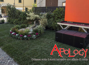 022%20apology.jpeg