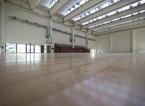 009%20palestra%20arcoveggio.jpeg 009%20palestra%20arcoveggio.jpeg